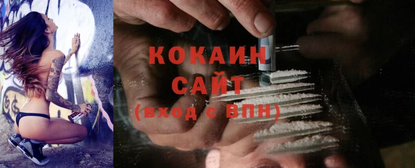 apvp Няндома