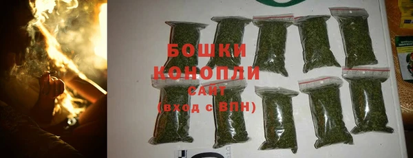 apvp Няндома