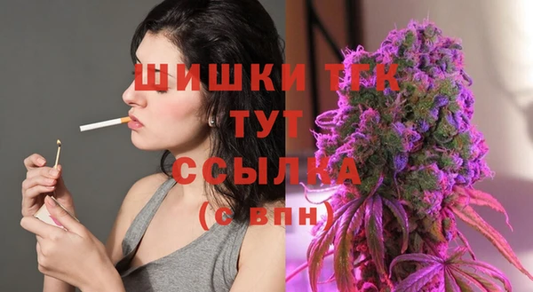 тгк Нязепетровск
