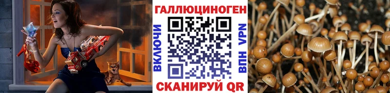 сколько стоит  darknet какой сайт  Псилоцибиновые грибы Psilocybine cubensis  Олонец 